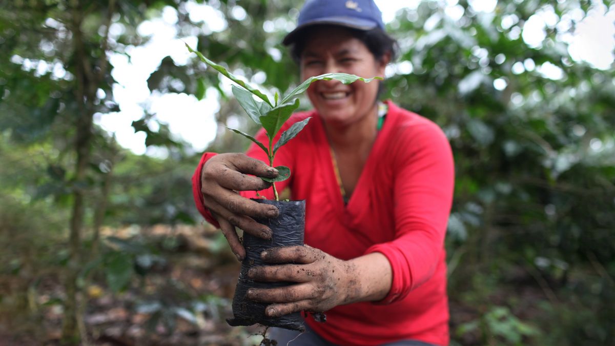 Sustainability Minded. Coffee Driven.