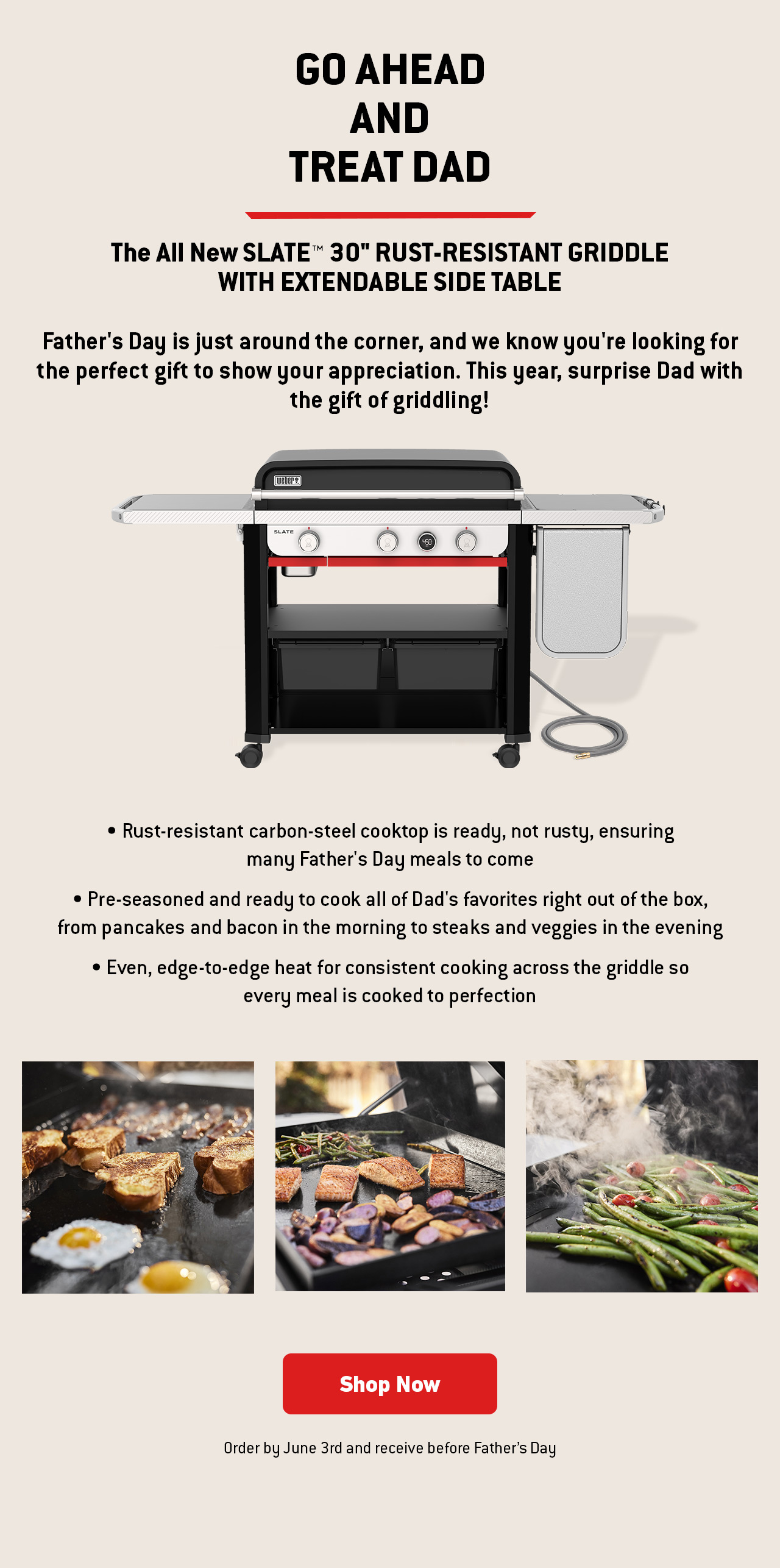 link to Slate™ 30in Rust-Resistant Griddle with extendable side table