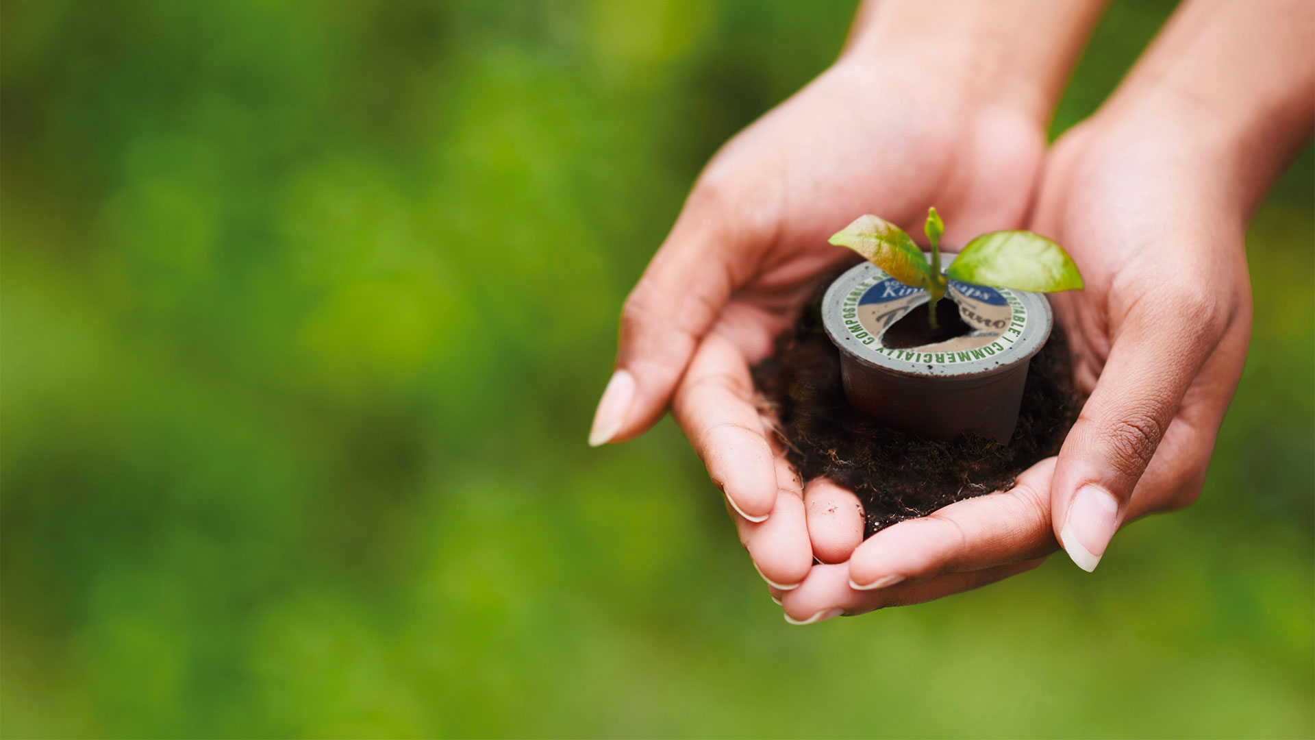 Sustainability at Caffe Borbone