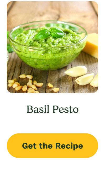 Basil Pesto