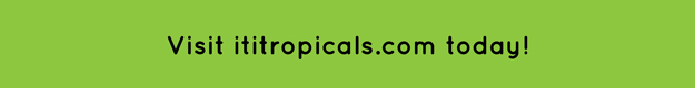 visit iTiTropicals.com footer