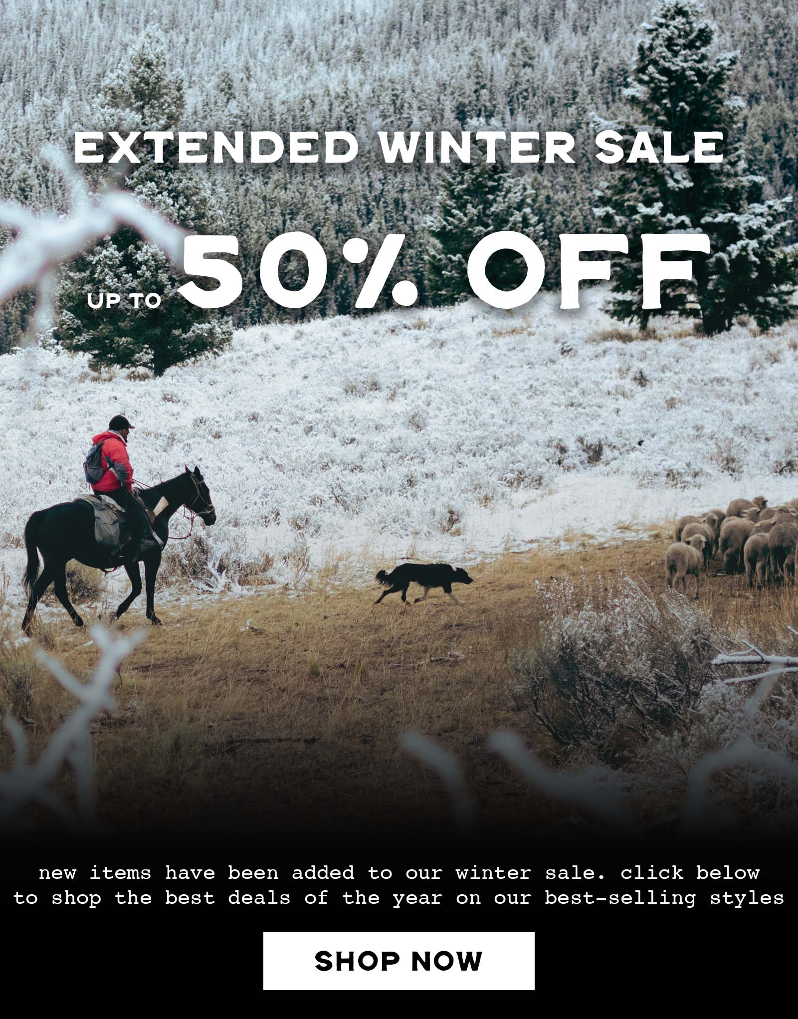 extended winter sale