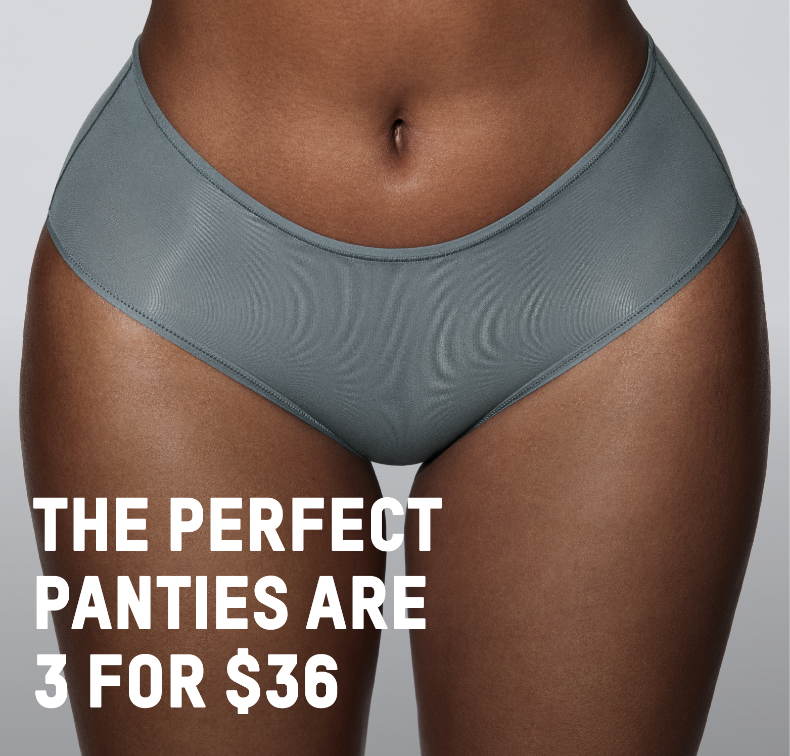 THE PERFECT PANTIES