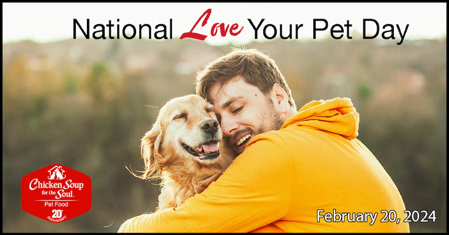 retriever hugged by man wearing yellow hoodie