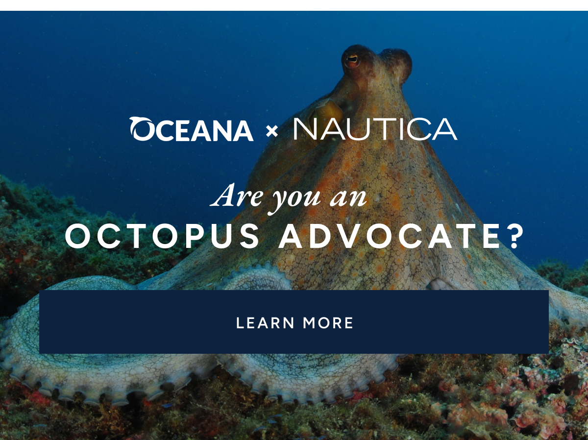 Oceana X Nautica. Are you an octopus advocate? LEARN MORE