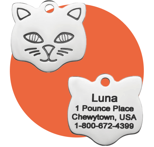 Frisco Stainless Steel Personalized Dog & Cat ID Tag, Cat, Small