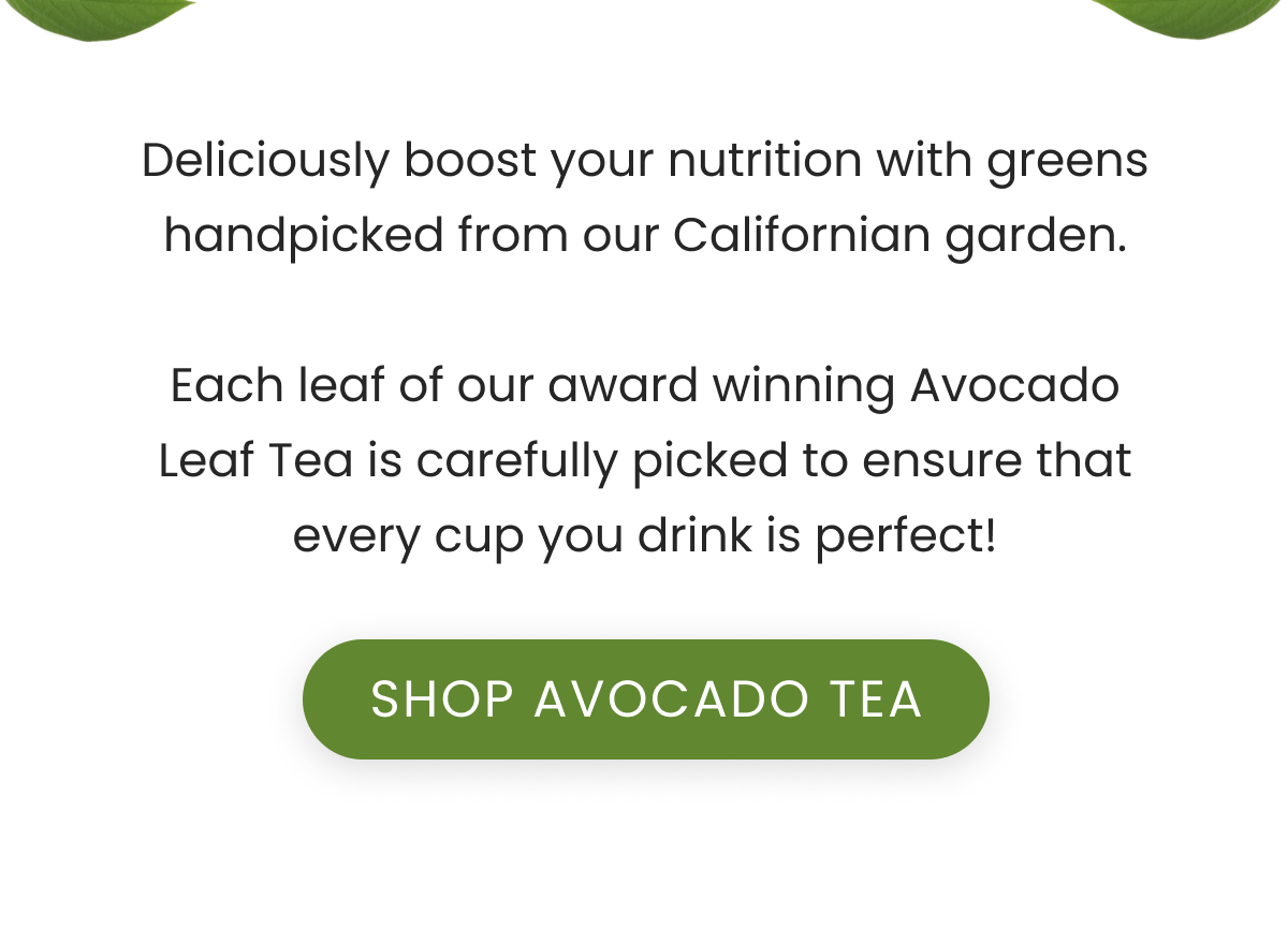 Shop Avocado Tea