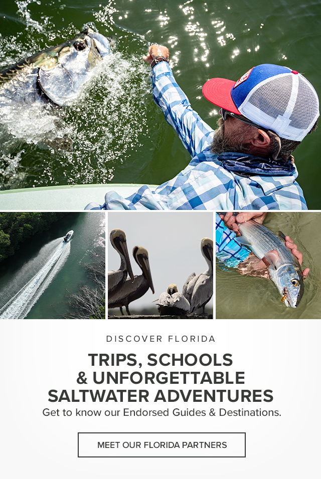 Discover Florida Trips, schools & unforgettable saltwater adventures. Get to know our Endorsed Guides & Destinations.