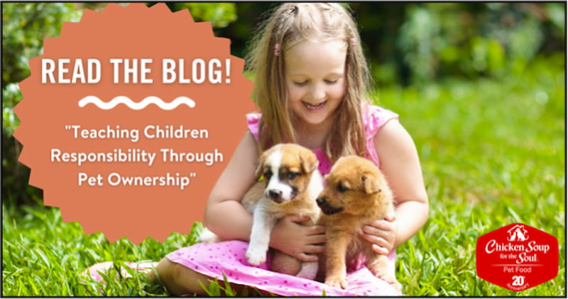 'Teaching Children Responsibility Through Pet Ownership'; smiling girl sitting outdoors on grass and holding a puppy in each arm