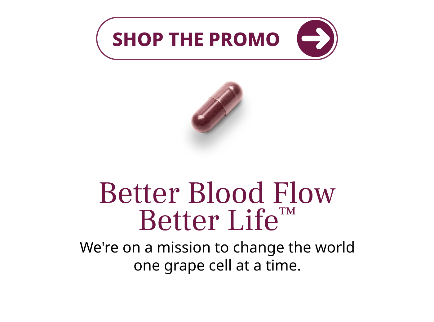 Better Blood Flow Better Life™