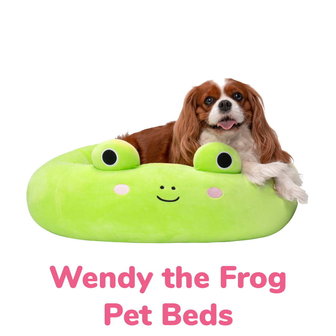 Wendy the frog dog beds