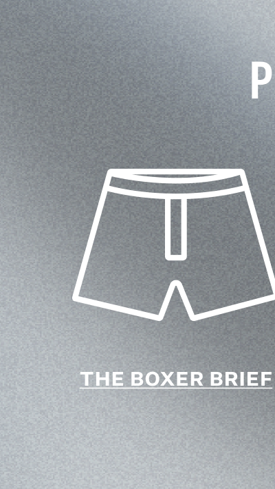 SILVER Boxer Brief