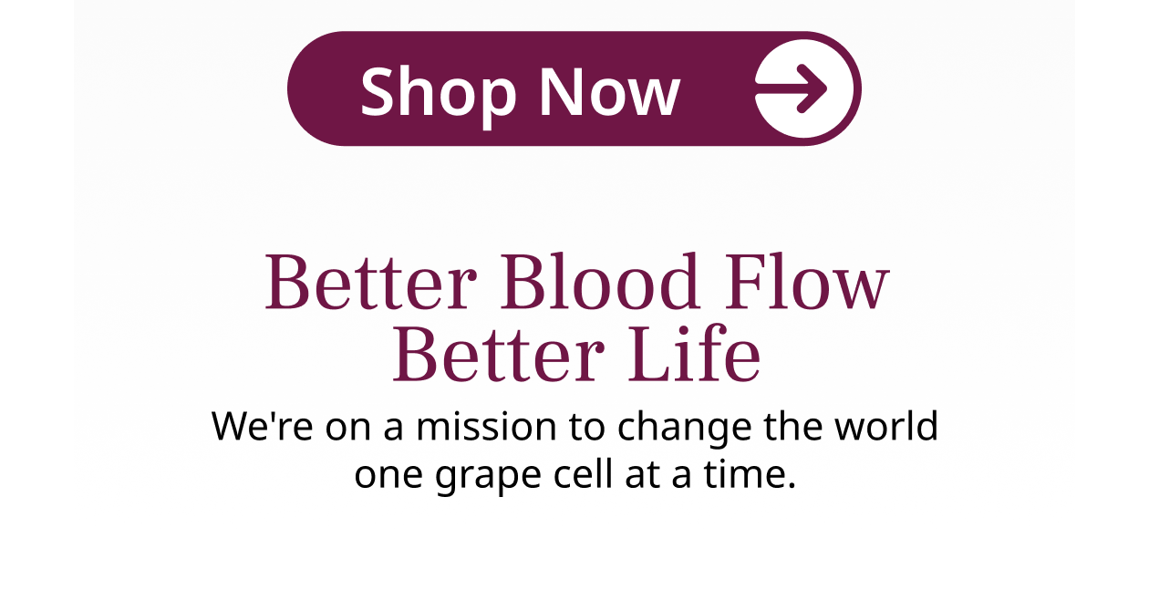 SHOP NOW. Better Blood Flow Better Life