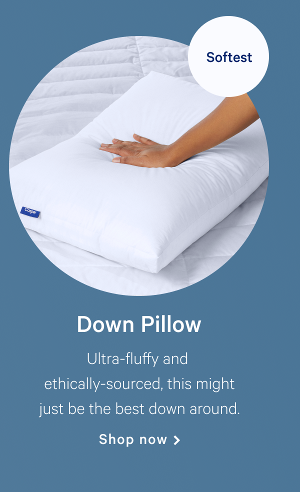 Down Pillow >> Shop now >>