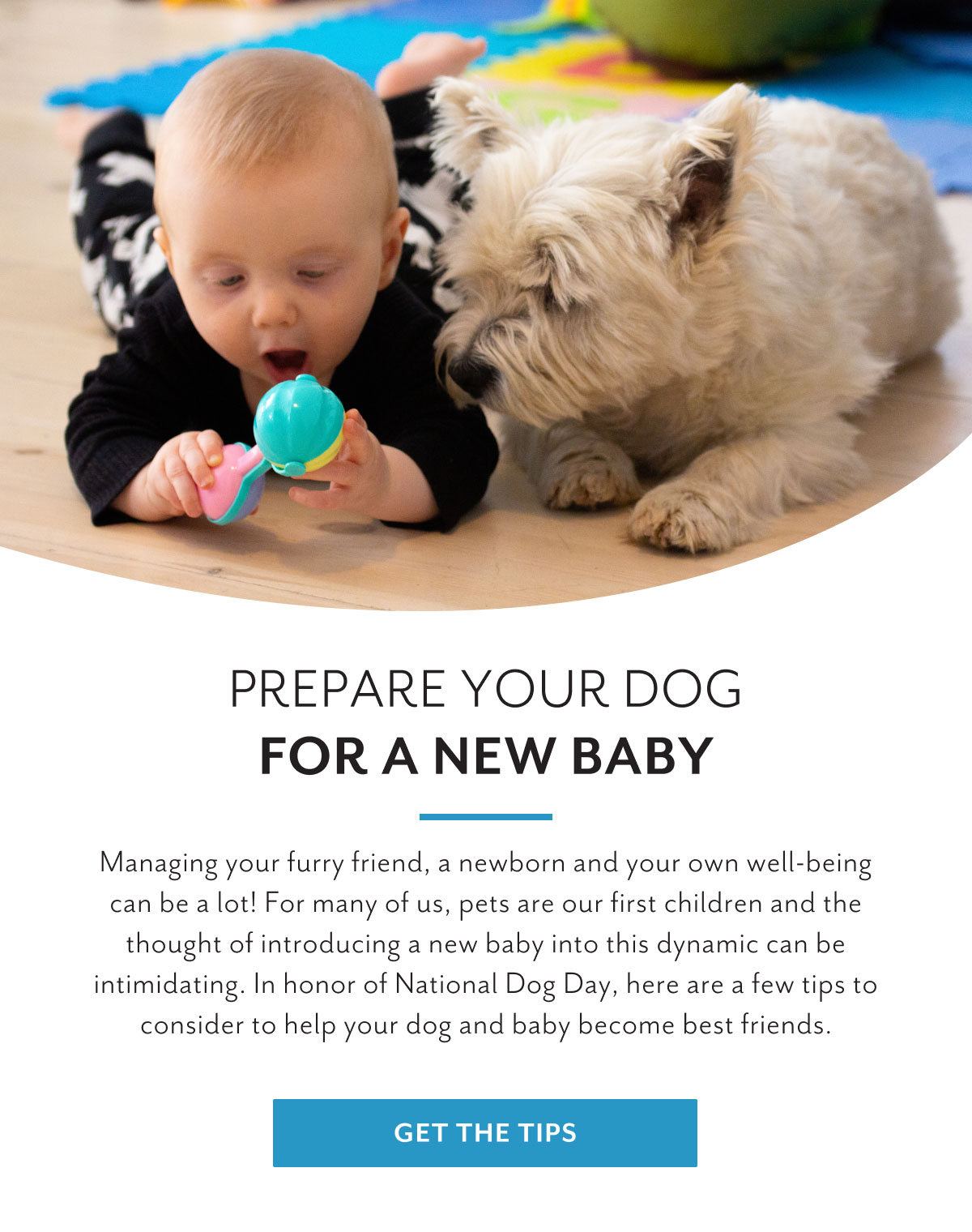 Prepare your dog for a new baby | Managing your furry friend, a newborn and your own well-being can be a lot! For many of us, pets are our first children and the thought of introducing a new baby into this dynamic can be intimidating. In honor of National Dog Day, here are a few tips to consider to help your dog and baby become best friends. | Get the tips