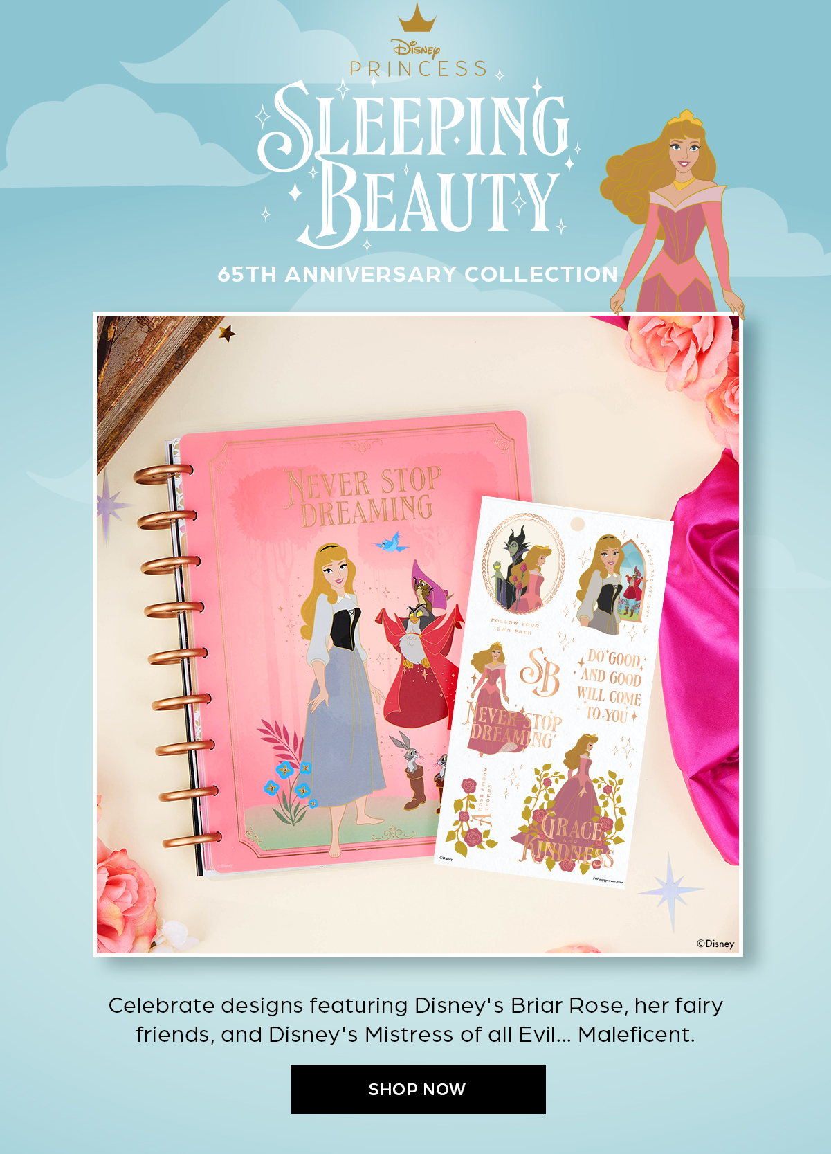 Disney Princess Sleeping Beauty 65th Anniversary Collection