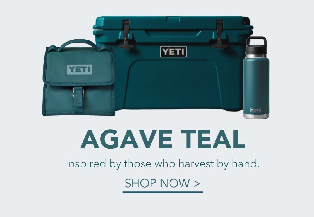 Shop Agave Teal