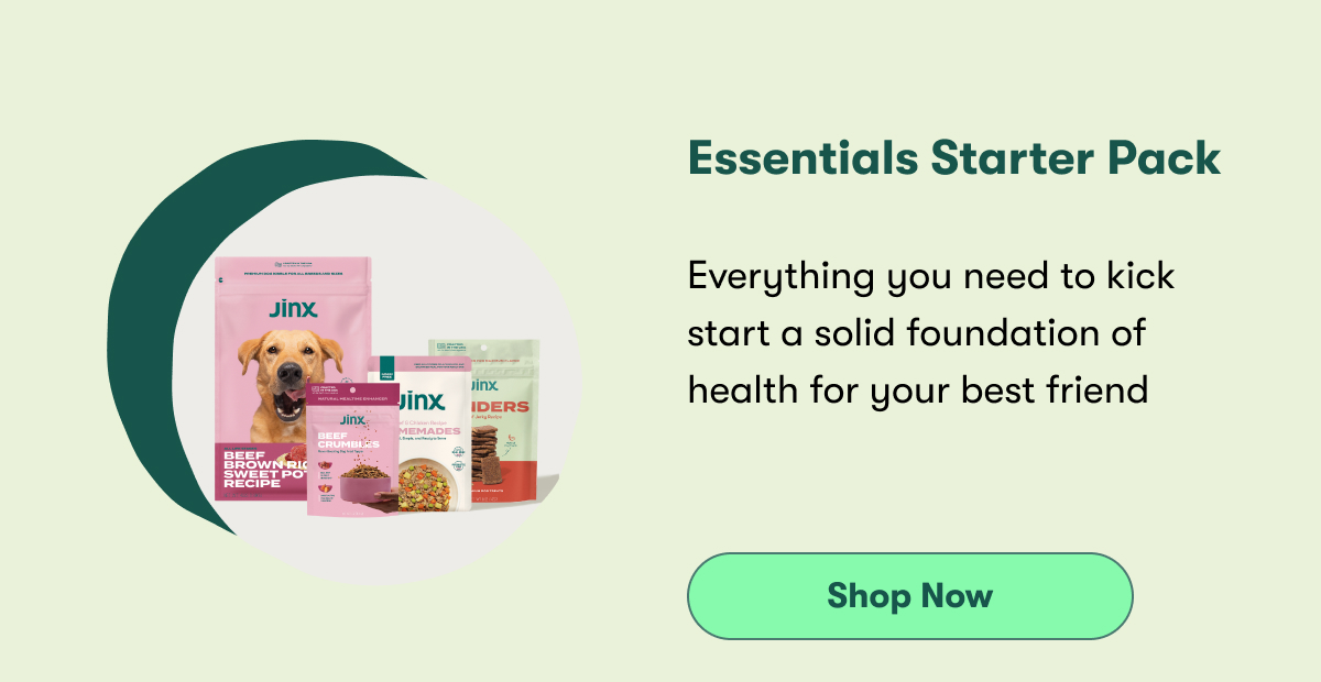 Essentials start pack. Everything you need to kick start a solid foundation of health for your best friend. shop now