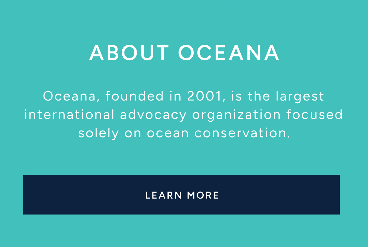 About Oceana, Oceana, founded in 2001, is the largest international advocacy organization focused solely on ocean conservation. LEARN MORE