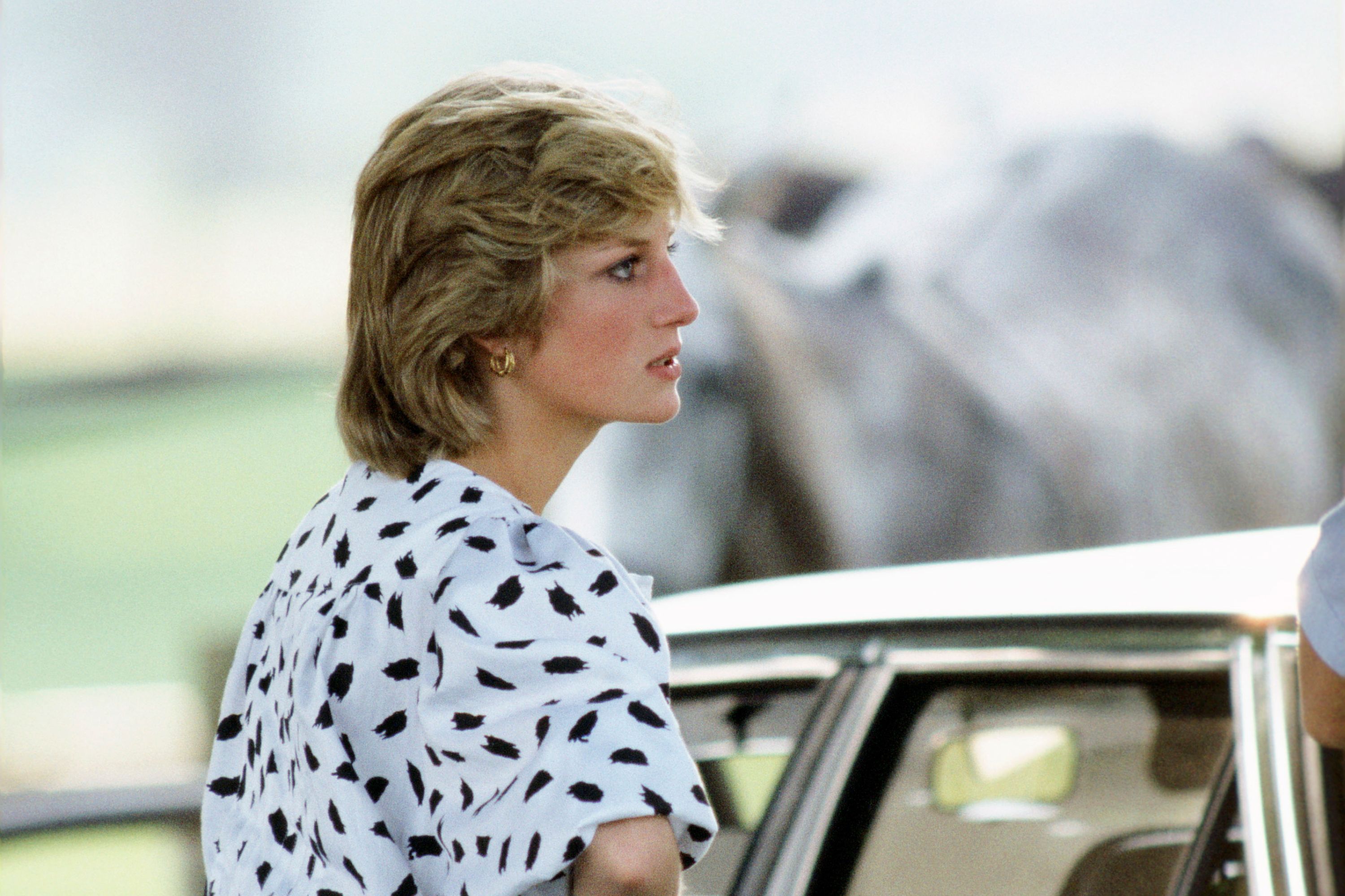 Photo: Princess Diana's Chauffeur Takes Legal Action After 'The Crown'