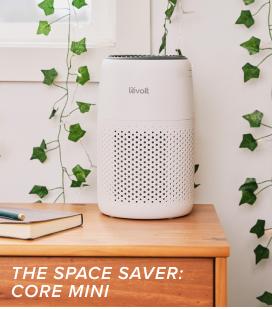 Core Mini air purifier