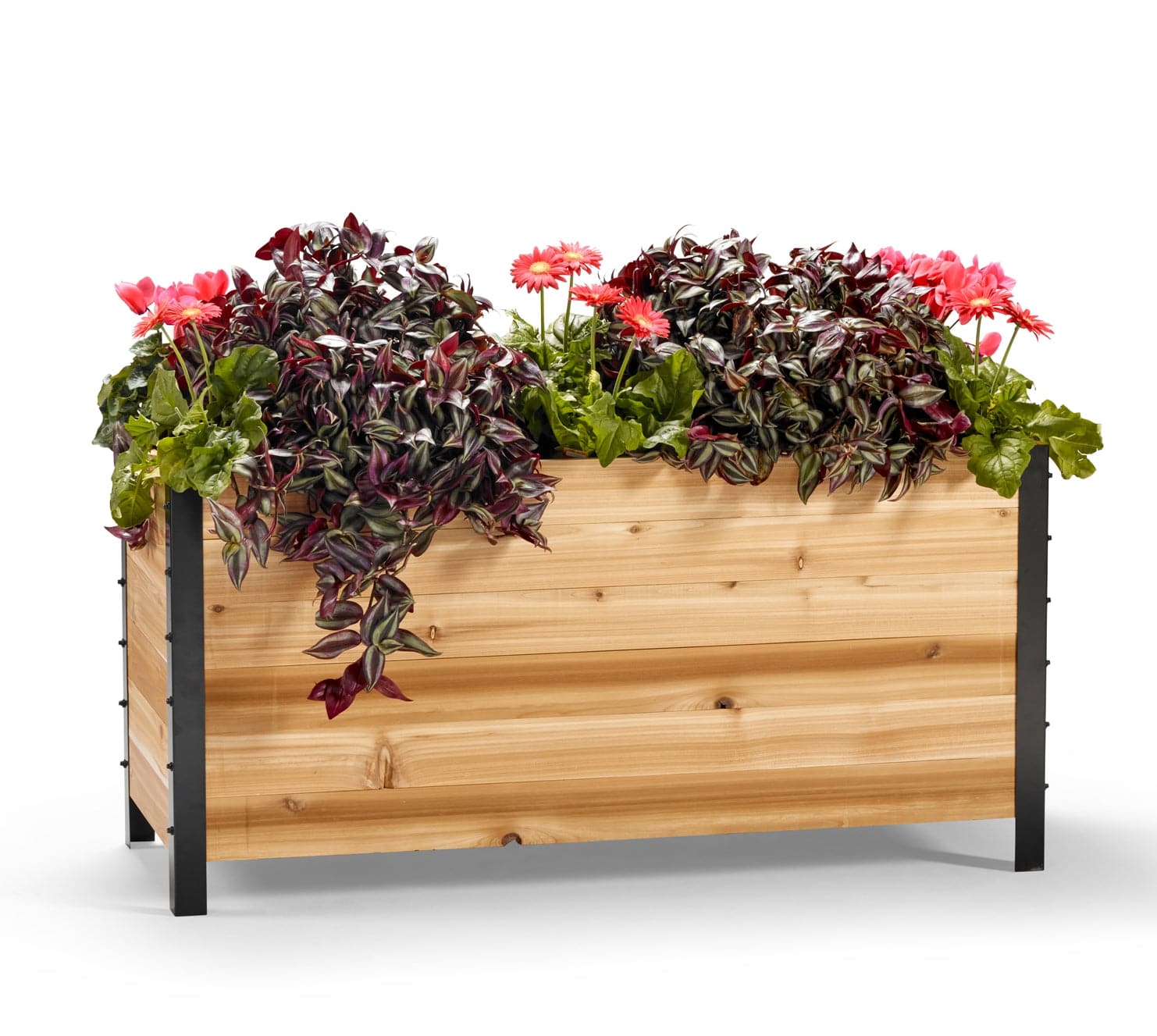 Image of 18" x 48" Planter Box - 24" Tall