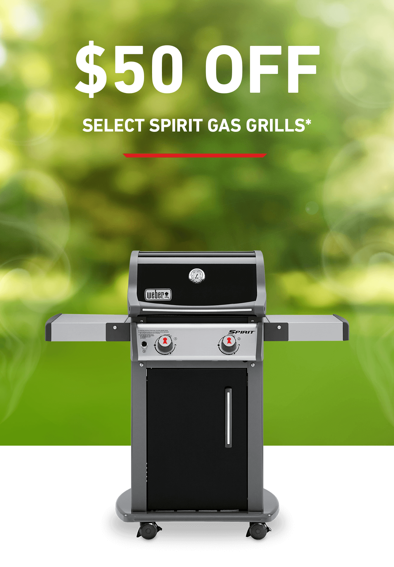 link to discover more about the Spirit Grills