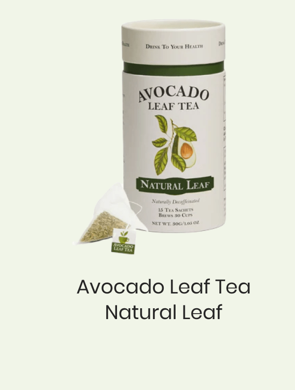 Avocado Leaf Tea Natural Leaf