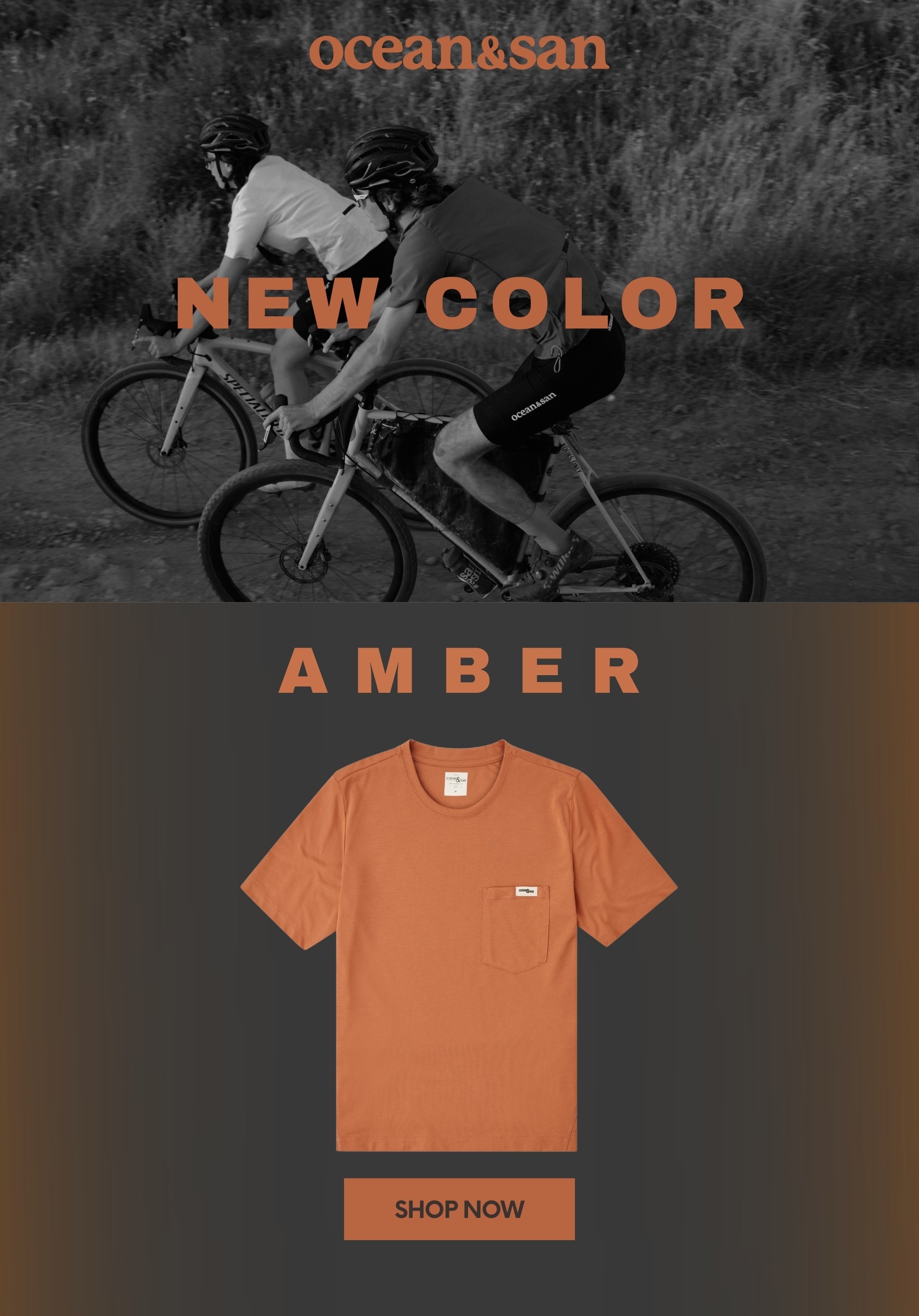 AMBER - NEW COLOR - SHOP NOW