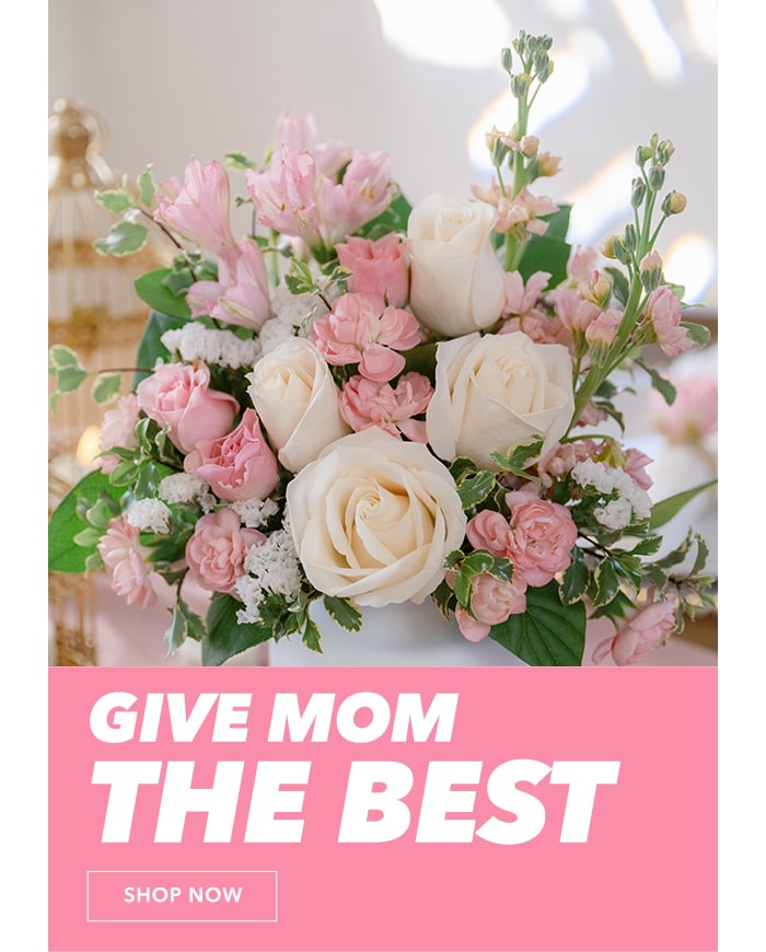 Give Mom the best