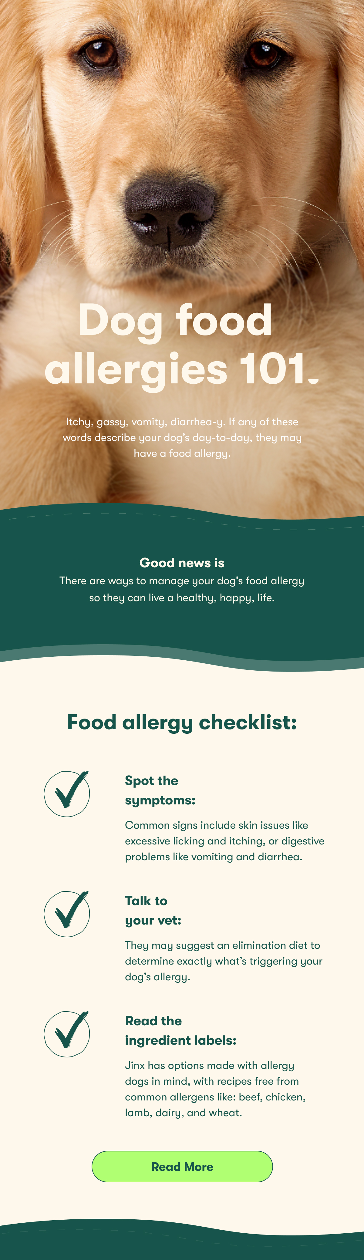 dog food allergies 101. Itchy, gassy, vomity, diarrhea-y. If any of these words describe your dog's day-to-day, they may have a food allergy. Good news is there are ways to manage your dog's food allergy so they can live a healthy, happy, life. Food allergy checklist: Spot the symptoms: Common signs include skin issues like excessive licking and itching, or digestive problems like vomiting and diarrhea. Talk to your vet: They may suggest an elimination diet to determine exactly what's triggering your dog's allergy. Read the ingredient lables: Jinx has options made with allergy dogs in mind, with recipes that are free from common allergens like: beef, chicken, lamb, dairy, and wheat.