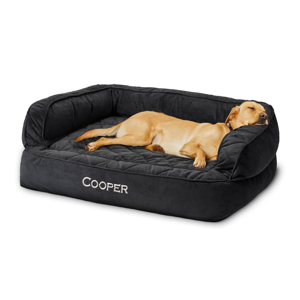 Dogs Orvis Memory Foam Couch Dog Bed