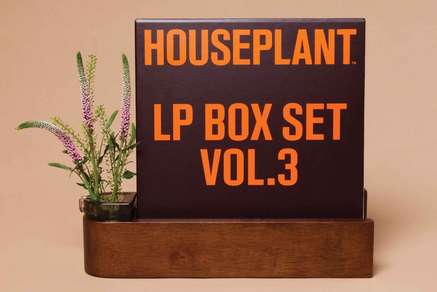 Houseplant Record Player Ashtray