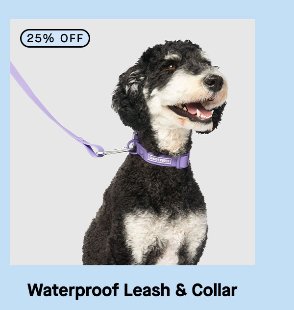 Waterproof Leash & Collar