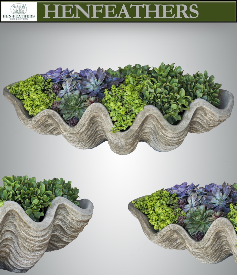 South Seas Shell Planter, Large