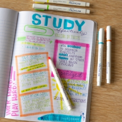 Study notes using mojini