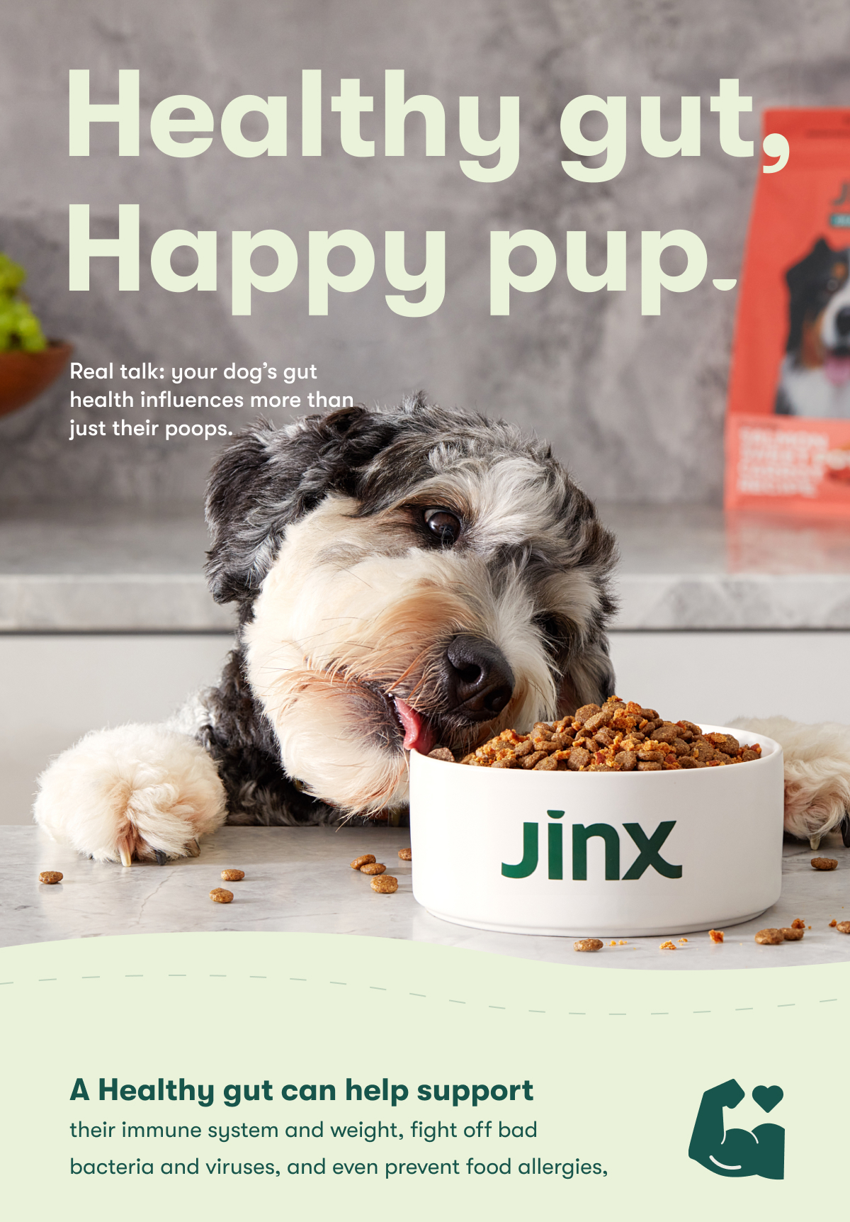 Healthy Gut, happy pup. A healthy gut can help support their immune system and weight, fight off bad bacteria and viruses, and even prevent food allergies.