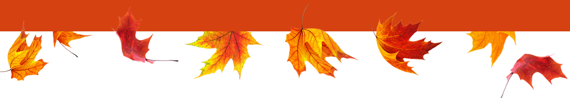 Fall leaves graphic