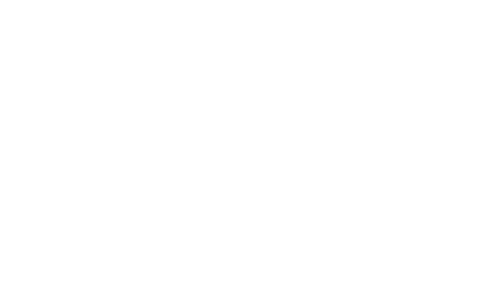 Everlast Logo