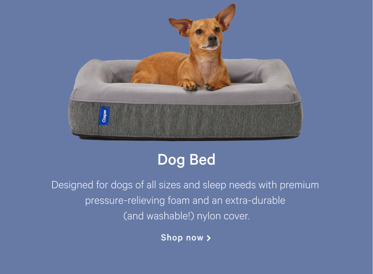 Dog Bed >> Shop now >>