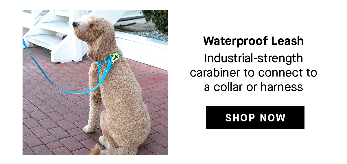 Waterproof Leash: Industrial-strength carabiner to connect to a collar or harness. Shop Now