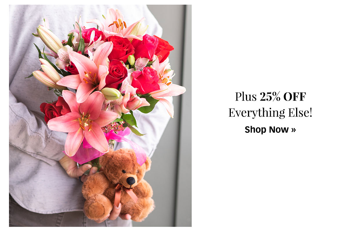 Shop 25% Off Everything Else »