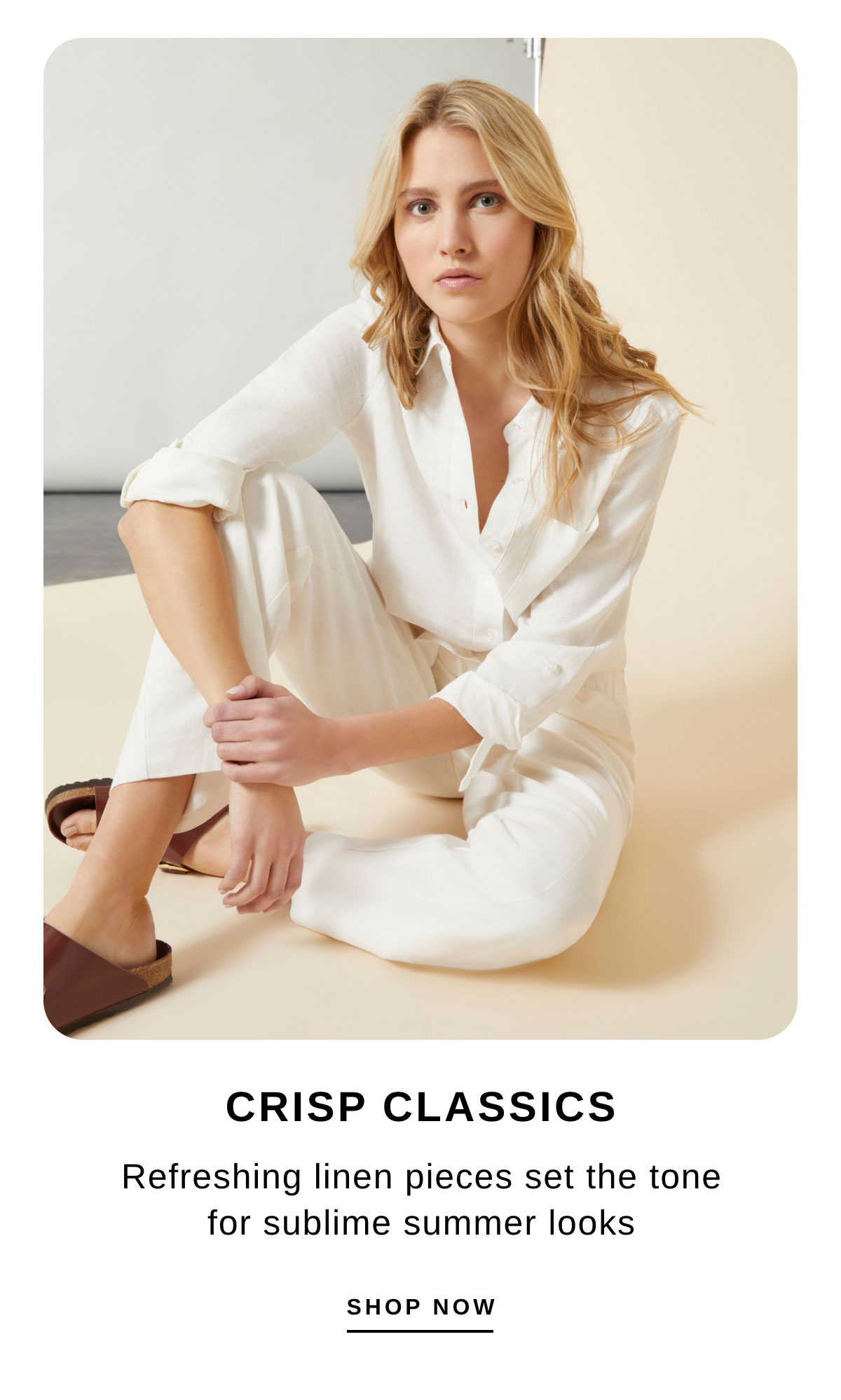 CRISP CLASSICS | SHOP NOW