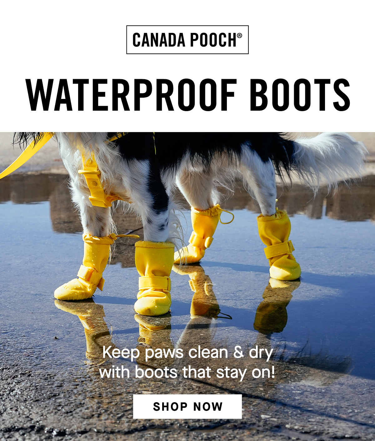 Waterproof Boots