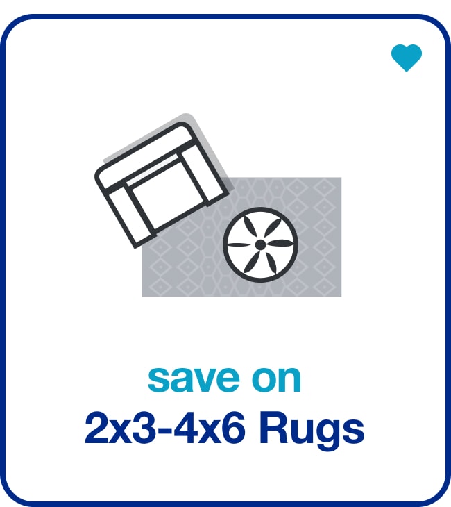 2x3-4x6 Rugs â€” Shop Now!