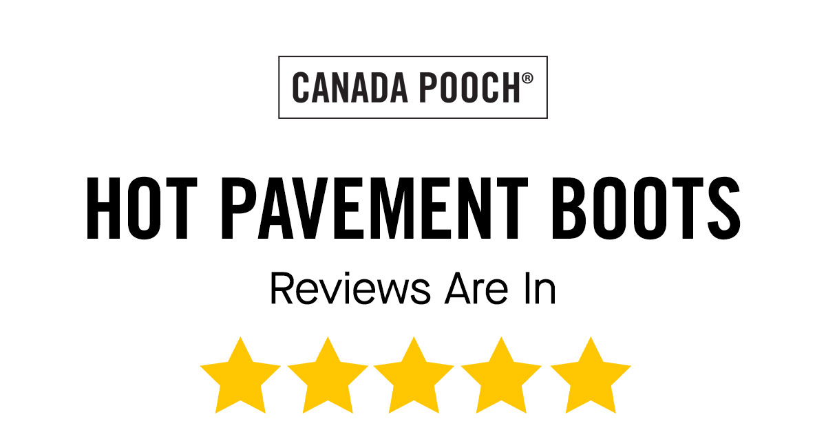 Hot Pavement Boots Reviews Are In