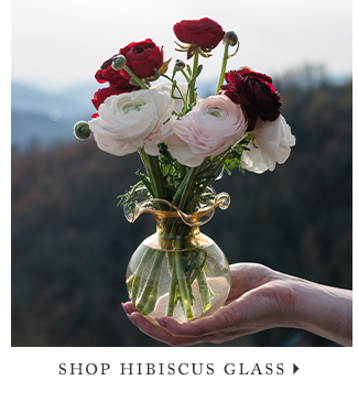 Shop Hibiscus Glass