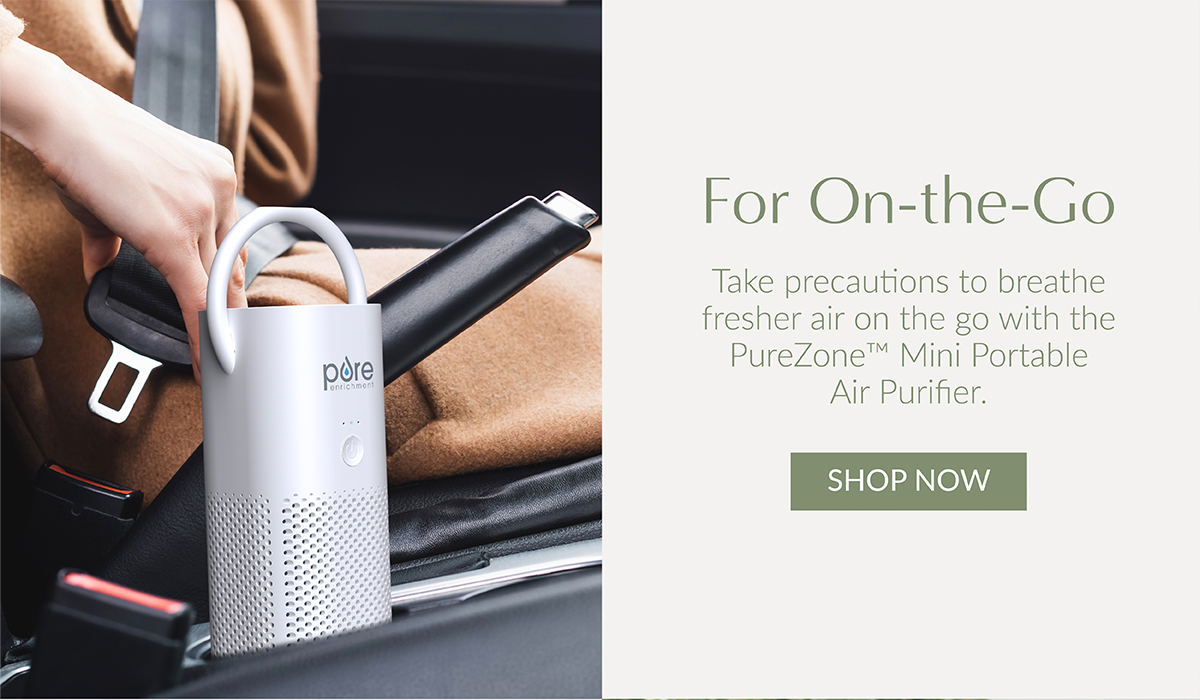 For On-the-Go - Shop the PureZone™ Mini Portable Air Purifier