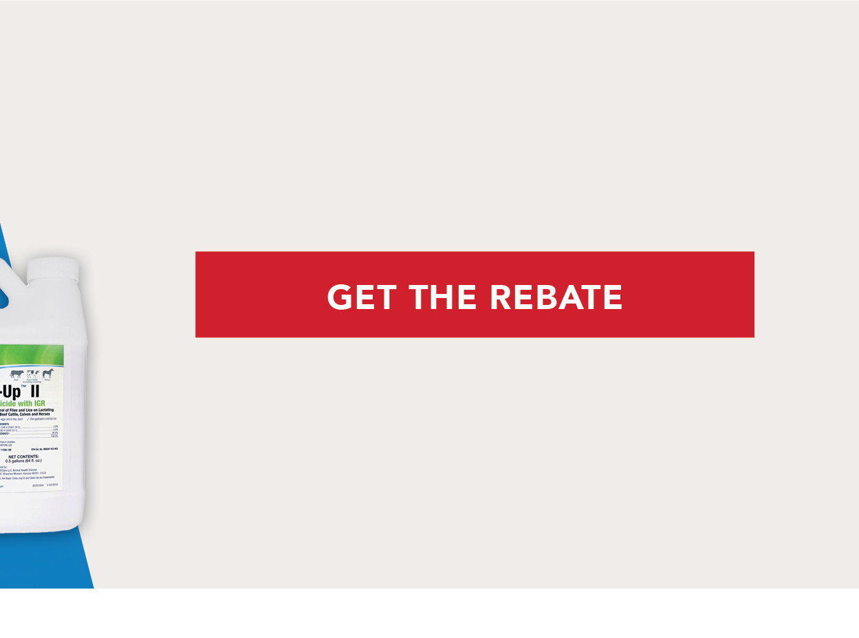 Get the rebate 