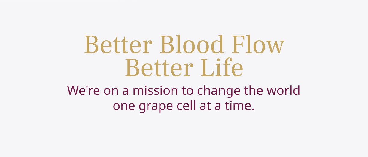 Better Blood Flow Better Life